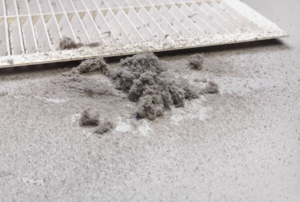 Best Affordable Duct Cleaning Services  in Eldon, MO